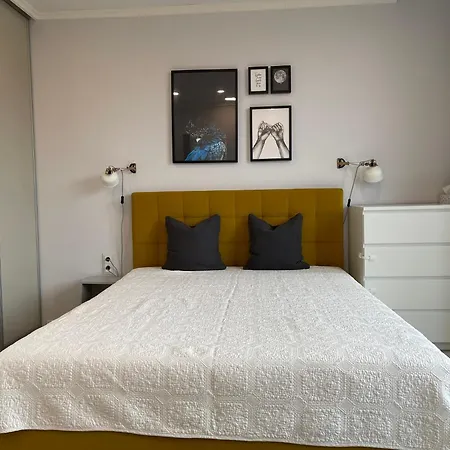 Apartment In Center *